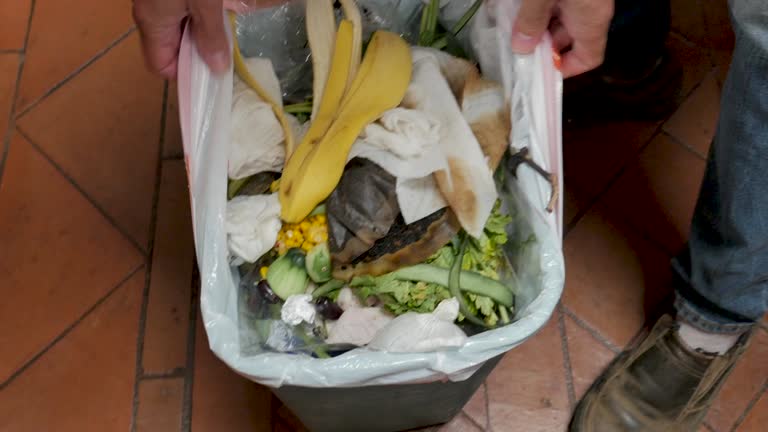 Best Recycling Services for Junk  in Pittsfield, MA
